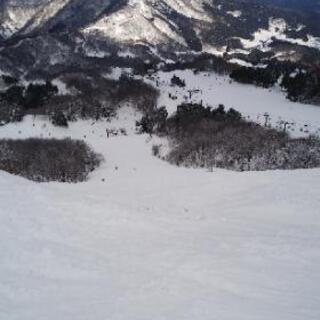 スキー、スノーボード雪山仲間募集！