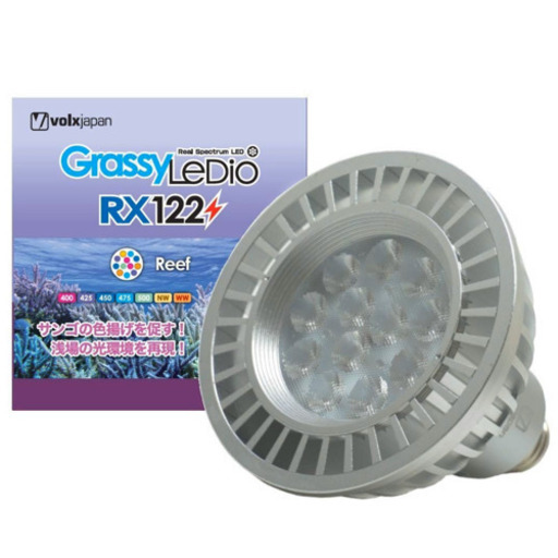 グラッシーレディオRX122リーフ　2