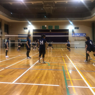 10/24 バレーボールやりませんか？