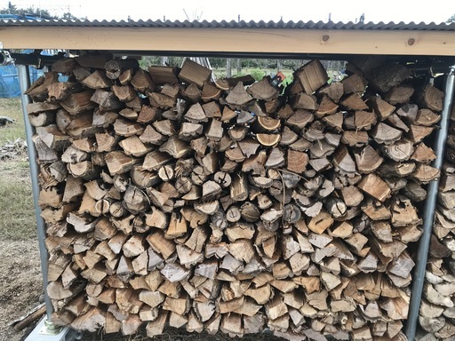 薪　ニセアカシア　春伐採　水分15％　引き取り限定