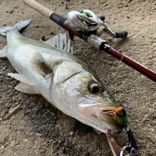 🎣金沢釣りカフェ開催！ - 友達