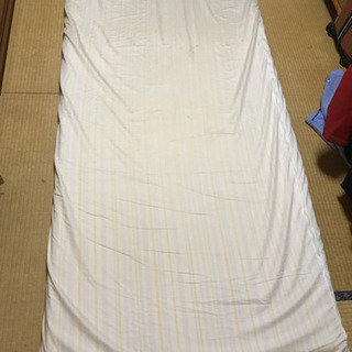 【セカンドハウス物】トゥルースリーパーの画像
