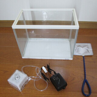 ※取引中の為、募集一時停止します。水槽セットあげます！（引取り限定）
