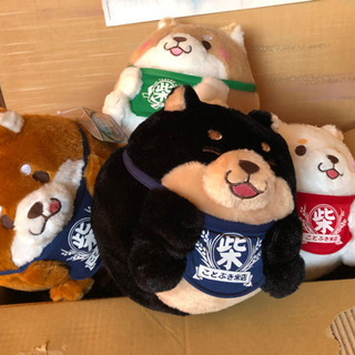 忠犬もちしば　大量　有償でのお渡しが来まりました