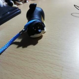 【新品】カプセルトイ　拒否犬シリーズ　2種の画像