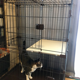 【無料！引き取り限定】ペットケージ二段 アイリスオーヤマ製