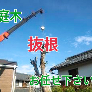 重量物の移動なら何でもお任せ下さい！ - 地元のお店