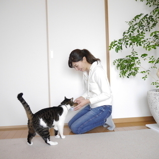 板橋区でペットシッターになりませんか？長年の経験に基づくノウハウの提供や保険の適用があり安心して営業できます。の画像