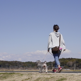 板橋区でペットシッターになりませんか？長年の経験に基づくノウハウの提供や保険の適用があり安心して営業できます。の画像