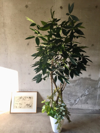 光触媒 人工観葉植物 パキラ1.8メートル
