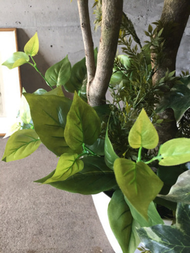光触媒 人工観葉植物 パキラ1.8メートル