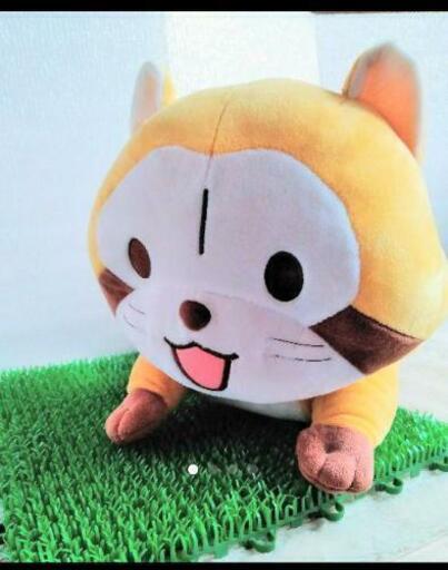あらいぐまラスカル　ぬいぐるみ　体長50cm