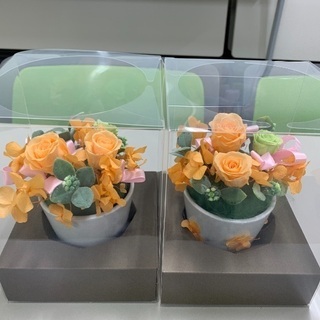 市場直送のお花を使って♡フラワーアレンジメント♡メンバー募集