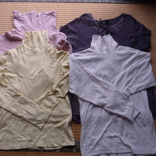 レディースLサイズ シャツセット 