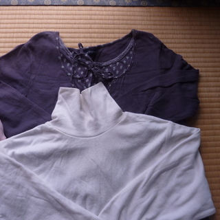 レディースLサイズ シャツセット の画像