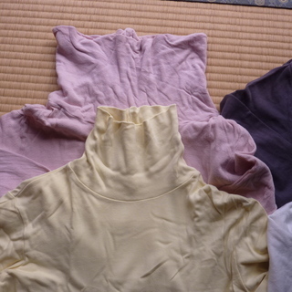 レディースLサイズ シャツセット の画像