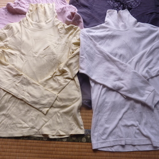 レディースLサイズ シャツセット の画像