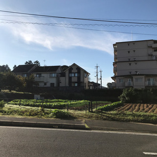 精神　知的などの人　ぐるちゃしませんか❓