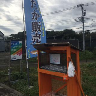 メダカ 今年最後の展示・販売会です！