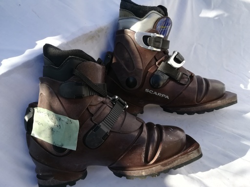 【スキーテレマークブーツ】Scarpa スカルパ T3[24.5]