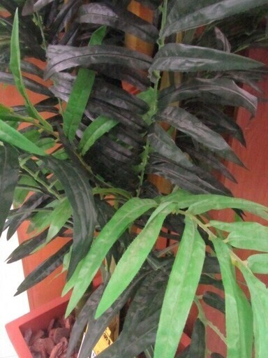人気！部屋のインテリアに最適！フェイクグリーン 観葉植物 NB667