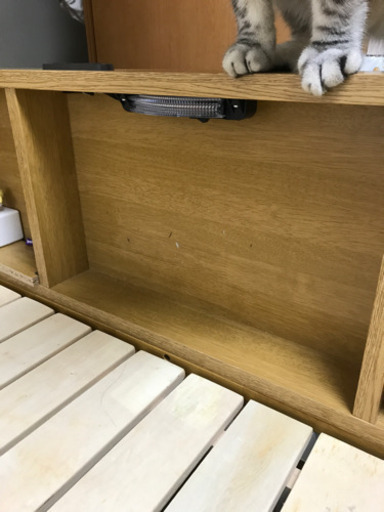 小島工芸ロフトベッド