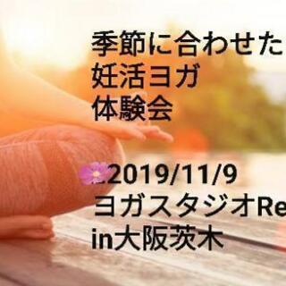【大阪茨木】季節に合わせた妊活ヨガ　体験会
