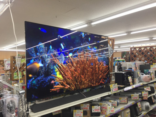 ご成約済み。ありがとうございました。　　　　