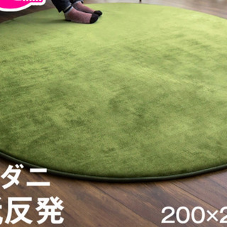  【未使用】極厚25mm 低反発ラグ ホットカーペット200 
