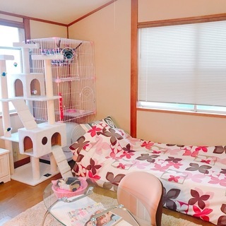 ペット可シェアハウス_祖師谷＠広々リビングで過ごせる犬猫可女性専用シェアハウス♪ − 東京都