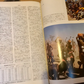 【29・30日引取】世界大百科事典全33冊 平凡社の画像