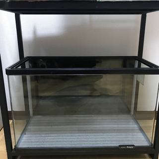 40センチ　60センチ　水槽　