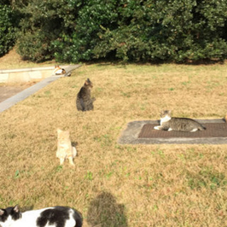 まったりと焚き火を囲んでみませんか？ − 千葉県