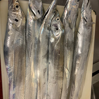 釣り友、釣り体験初心者向け - 板橋区
