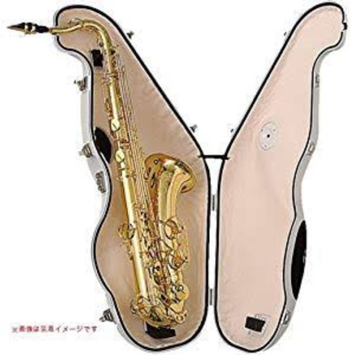 イーサックス(テナーサックス)売ります‼️