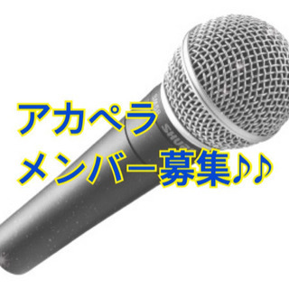 アカペラメンバー募集♪♪まあぶるちょこ