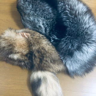 シルバーフォックス