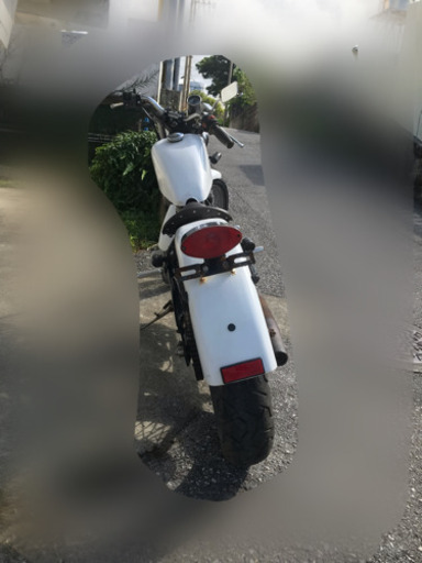 ヘイスト250