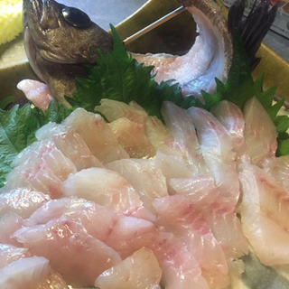 釣り人も必見！今夜の晩御飯！