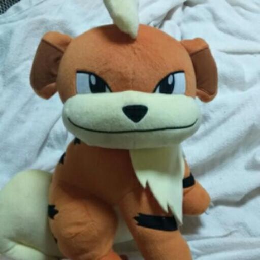 ポケモン、ガーディーぬいぐるみ