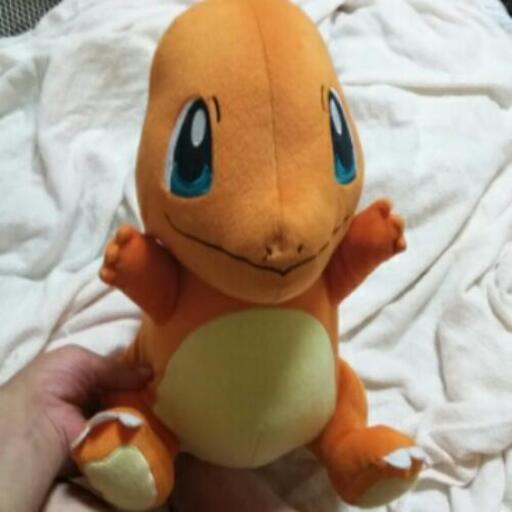 ポケモンヒトカゲぬいぐるみ