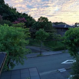 ボロの空き家　一戸建てを　お貸し下さい。
