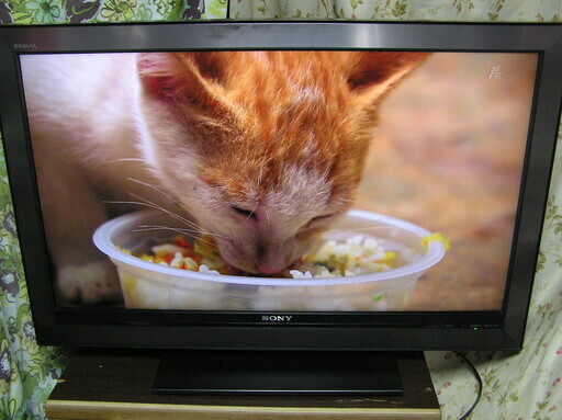 ◇取引終了 ソニー 40型テレビKDL-40F1 ☆フルハイビジョンできれい。 ■1週間の動作補償します。