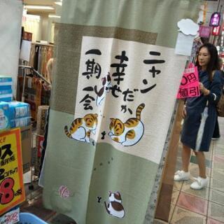 のれん 猫の画像