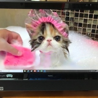 NEC 一体型 20型ワイドPC Win10&MS社Office365 
