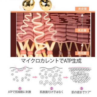 Y字型3D美容ローラーの画像