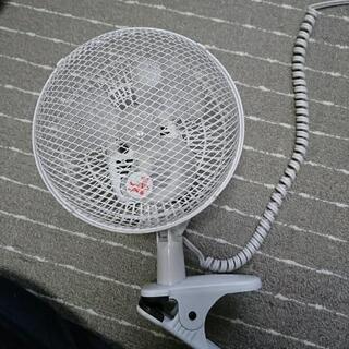 小型