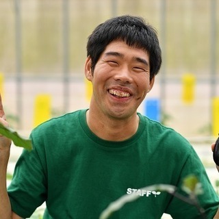 【障がい者求人】開放的なビニールハウス内で野菜づくりのお仕事。や...