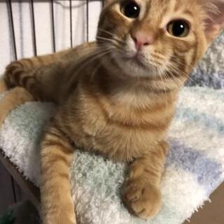 ボクの親友になってください！