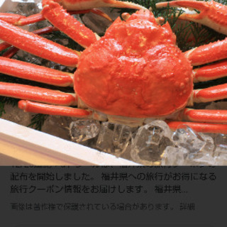 やっぱり、蟹、魚系を食べたい、男女仲間募集！